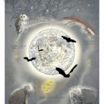 Affiche scientifique naturaliste - Les animaux noctures de Lorraine