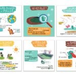 Livret explicatif sur la spiruline pour "Spiruline Angevine" 