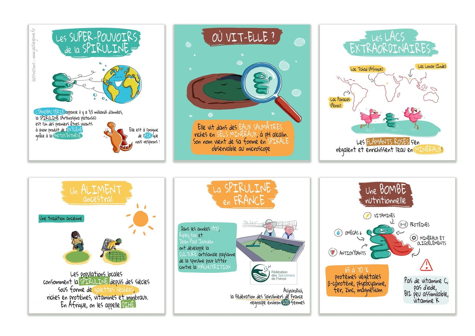 Livret explicatif sur la spiruline pour "Spiruline Angevine" 