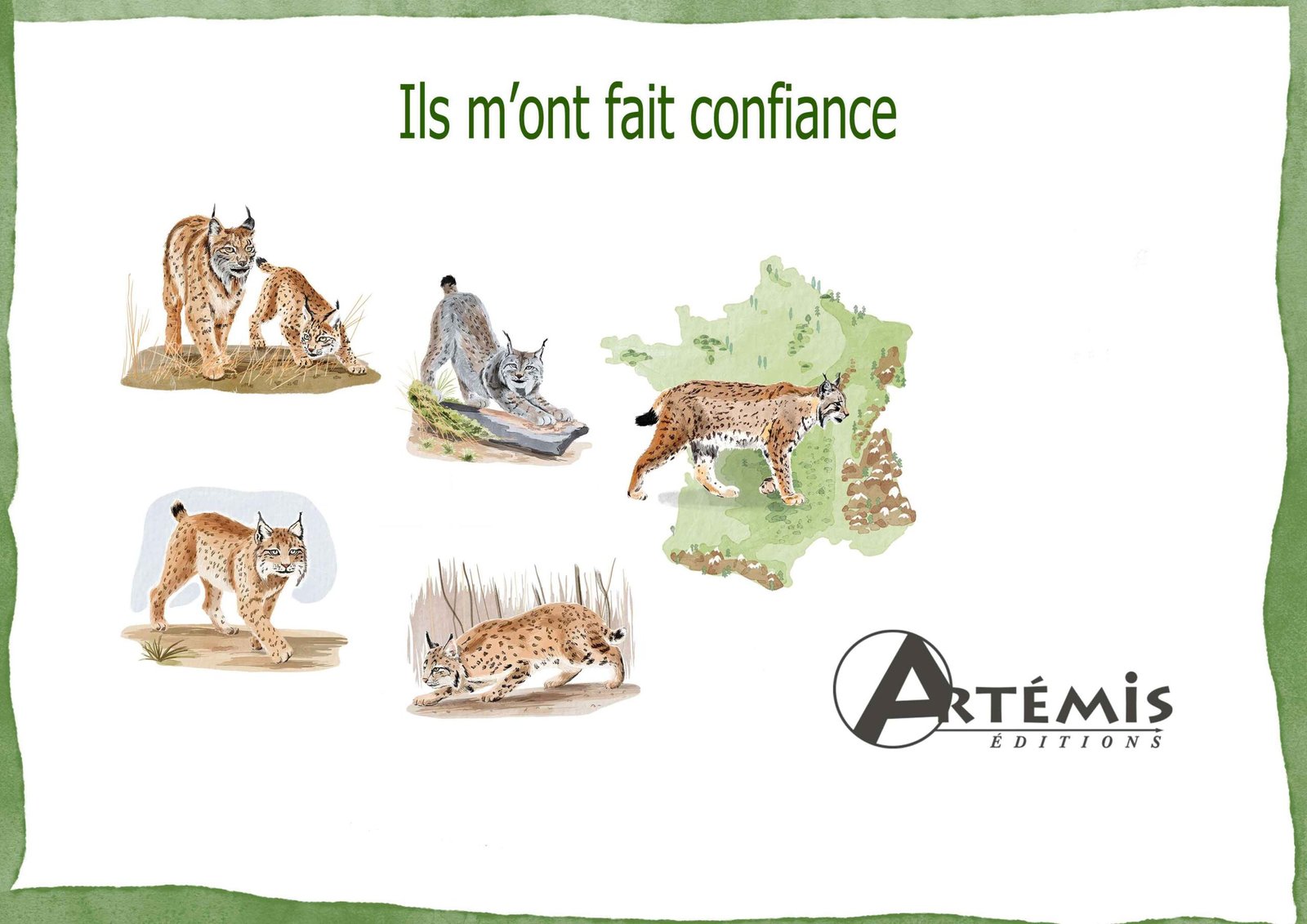 Illustrations aquarelle numérique / Livre "Éperdument Lynx" à paraître / Éditions Artémis