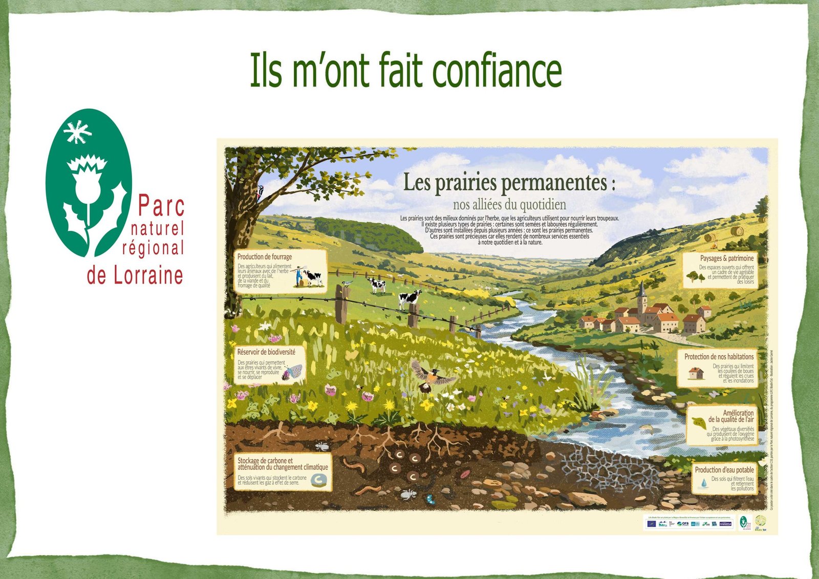 Poster Prairies permanentes - Parc Naturel Régional de Lorraine