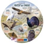 Sticker Espèces locales Massif du Canigo - Syndicat Mixte Canigo Grand Site de France - Photoshop