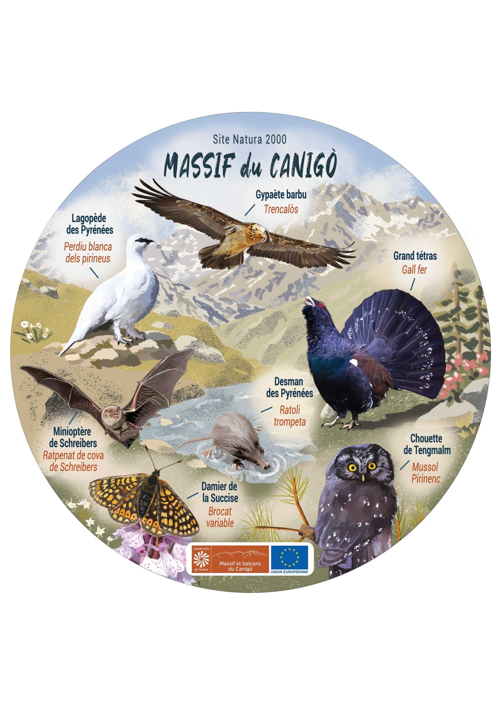 Sticker Espèces locales Massif du Canigo - Syndicat Mixte Canigo Grand Site de France - Photoshop