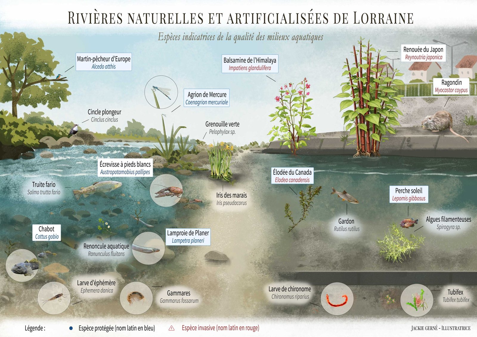Rivières naturelles et artificielles de Lorraine - Photoshop