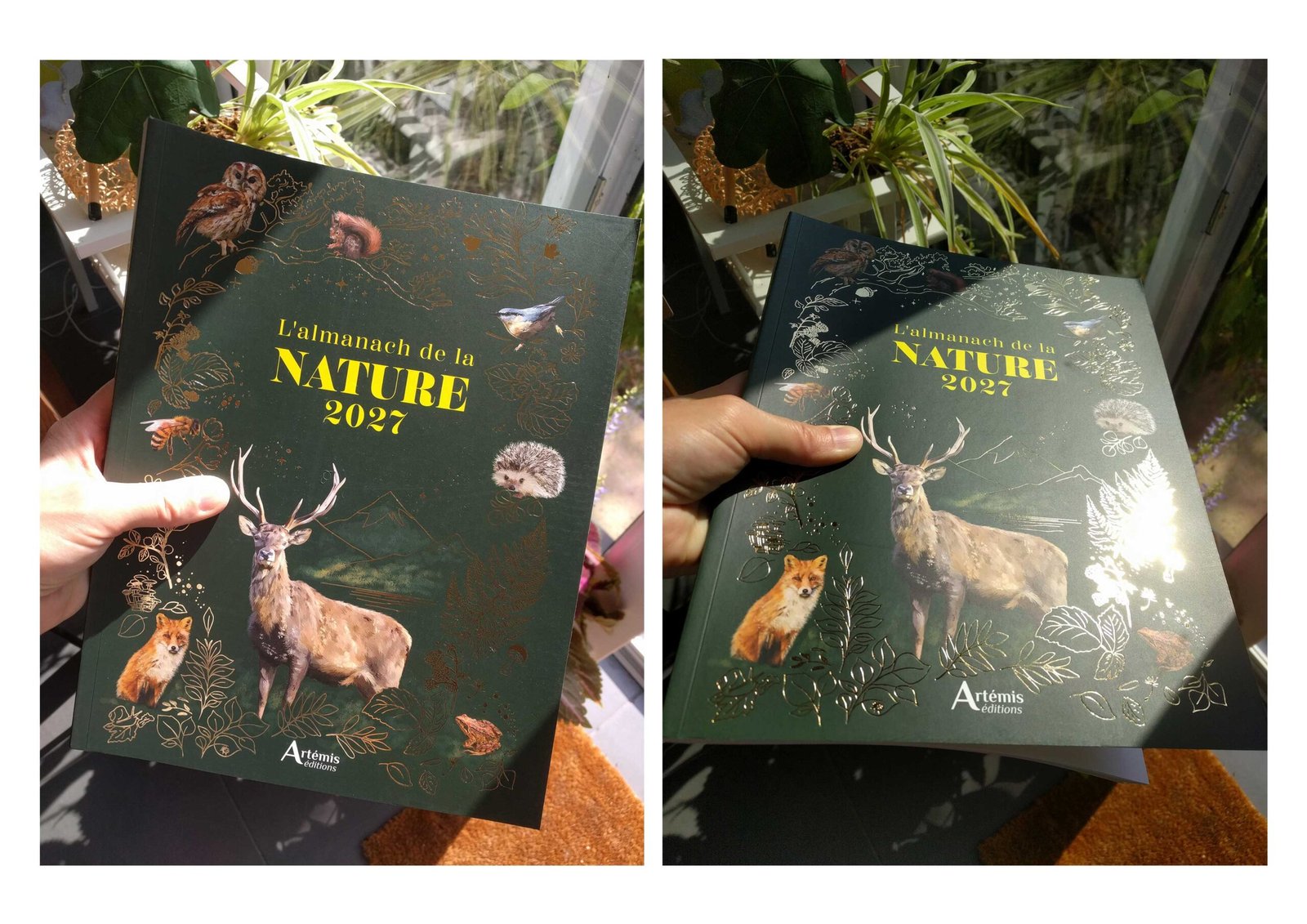 Couverture Almanach de la nature 2027 - Editions Artémis